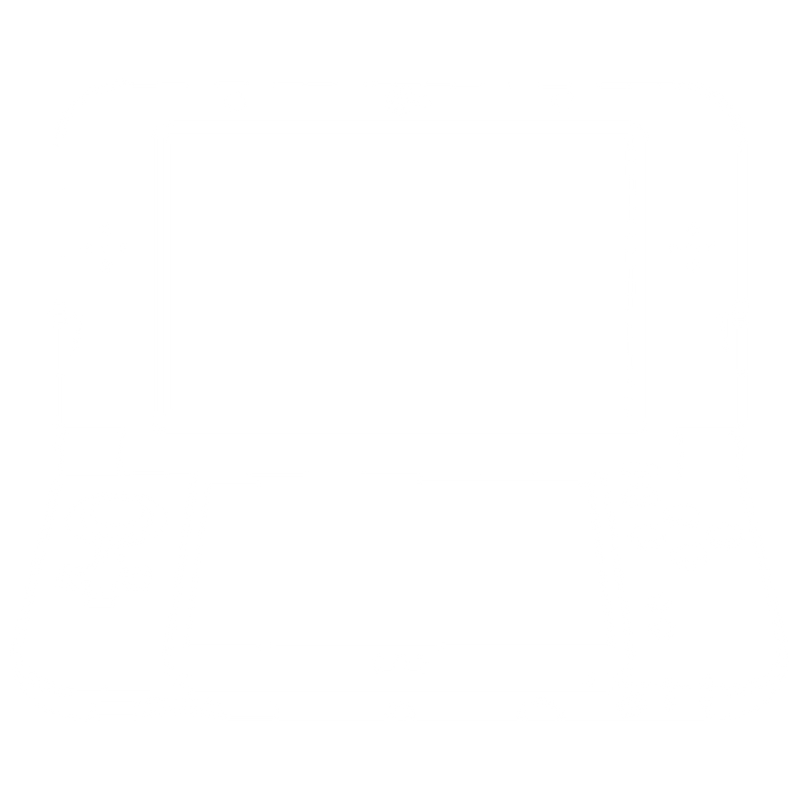 New Nintendo 3DS XL